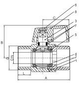 SS Polished Brass Mini Ball Valve F X F Male Threaded ANSI Standard